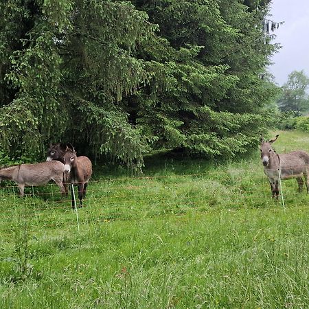 Maison Du Bonheur Gan Bilik gambar